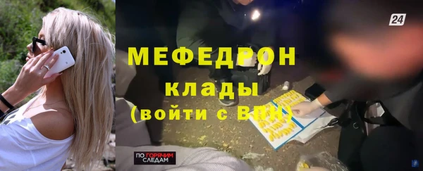шишки Арсеньев