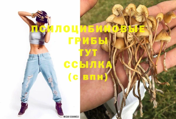 каннабис Аркадак