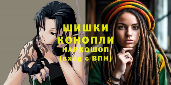 шишки Арсеньев
