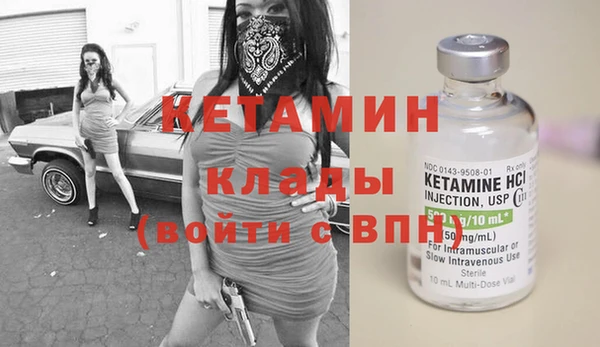 прущие крисы Тайга