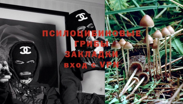 ALPHA-PVP Алексин